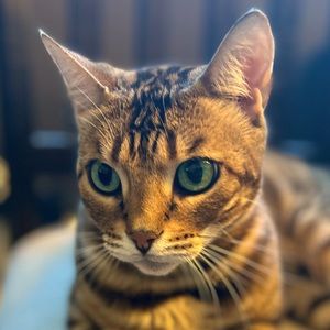 Meet your Posher, Jesse